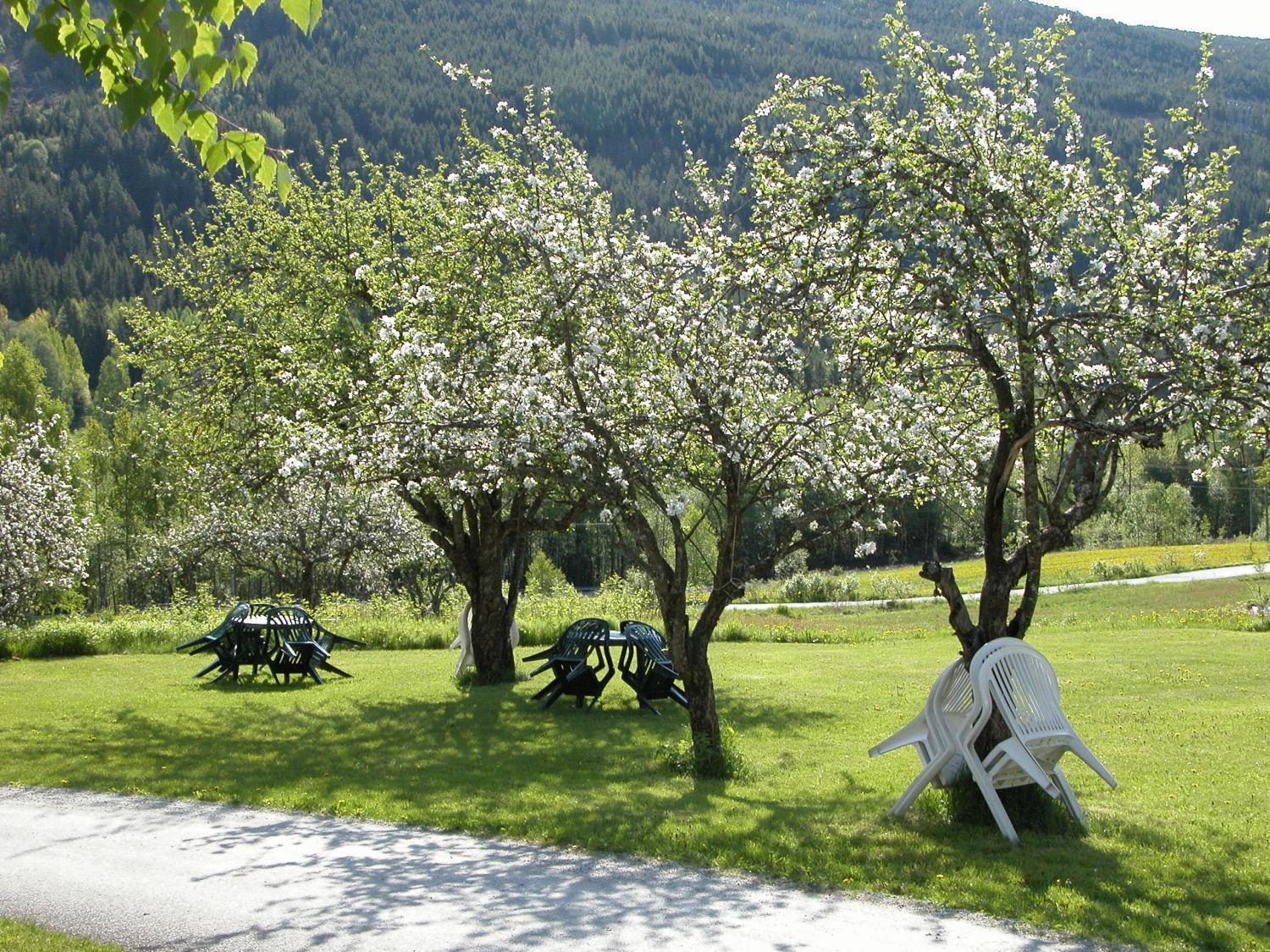 Smedsgarden Hotel Nesbyen Luaran gambar