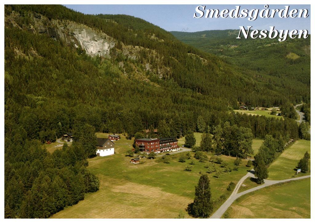 Smedsgarden Hotel Nesbyen Luaran gambar